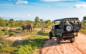 Sri Lanka’s June tourist arrival rate remains slow