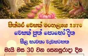 2026වෙසක් පුන් පොහා් දින සීල භාවනා වැඩසටහන – 2026 මැයි මස 30 සෙනසුරාදා. – 2026 මැයි මස 30 සෙනසුරාදා. ( New Zealand Event)